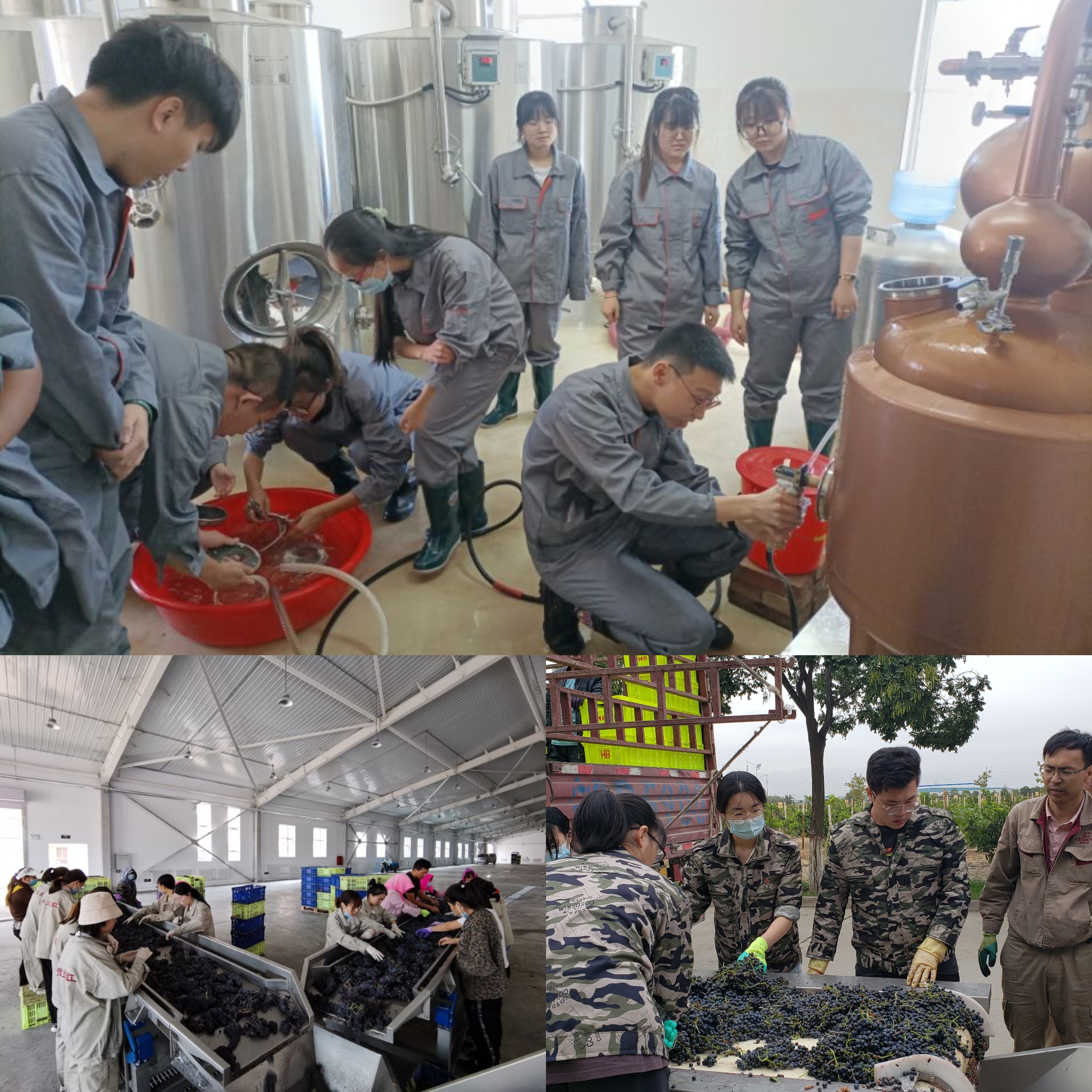 f7c80b09744c415a90697cb76aded6a7.jpg f7c80b09744c415a90697cb76aded6a7.jpg